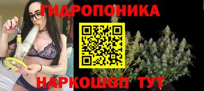 spice Каменск-Шахтинский
