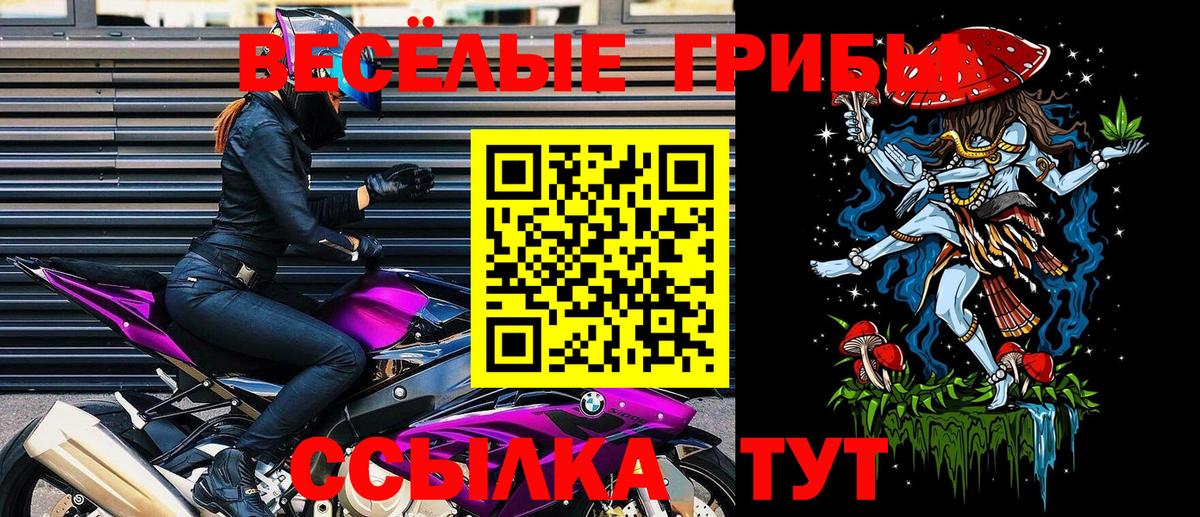 купить наркотик  Галлюциногенные грибы Psilocybe  Вход с VPN  Санкт-Петербург  Галлюциногенные грибы ЛСД 