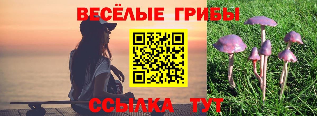 Галлюциногенные грибы ЛСД Санкт-Петербург